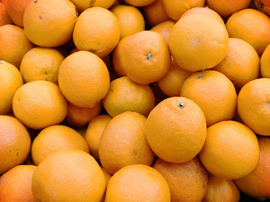 Réparation Dégât des Eaux Orange